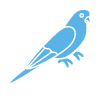 Animal Allergy Profile Clinic Test - Budgerigar